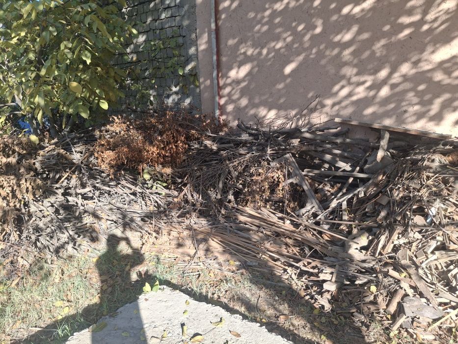 Продаётся большое количество дрова