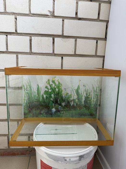 Продам аквариум срочно