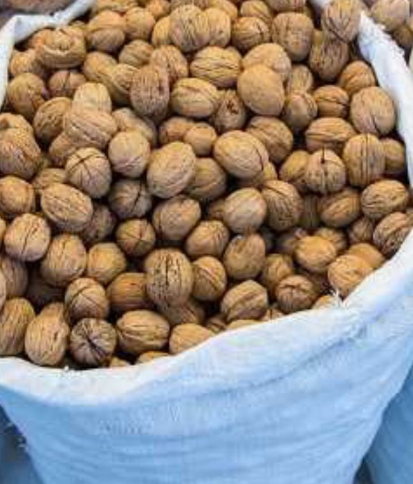 Nuci de vânzare de anul acesta 6Lei kilogramul