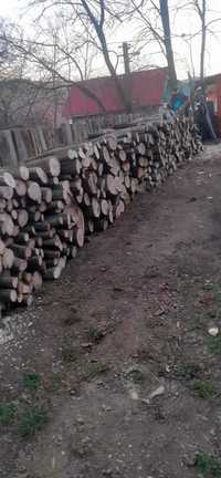 Vând lemne de foc la 250lei metru cu transport gratuit