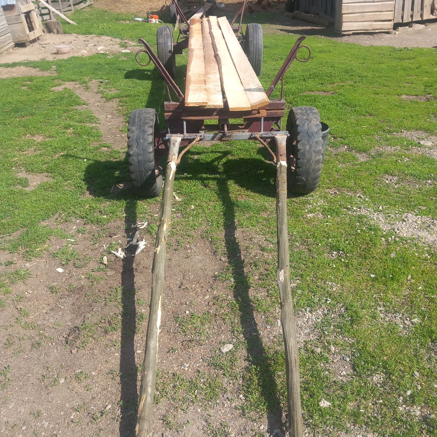 Vând faiton bun pentru pădure