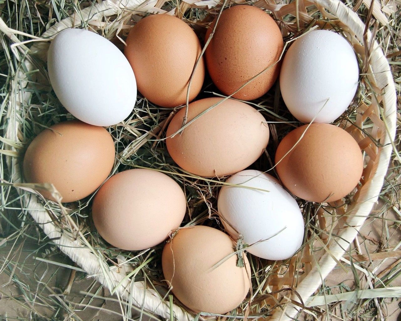 Продаются яйца домашние