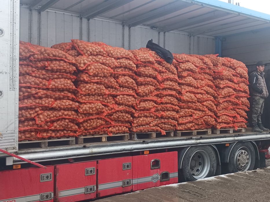 Cartofi de samanta si consum