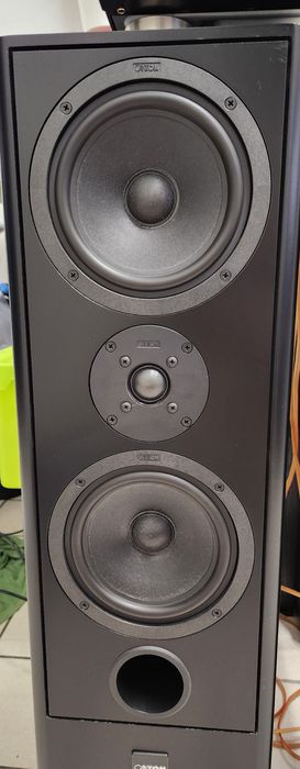 Boxe Bass Reflex Canton 100/150 Watt