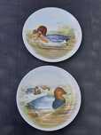 Farfurii decorative, portelan