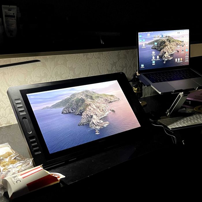 Huion Kamvas Pro 20