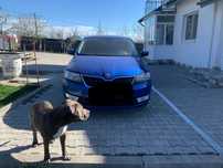 Skoda rapid 1,2 benzina 80mii km