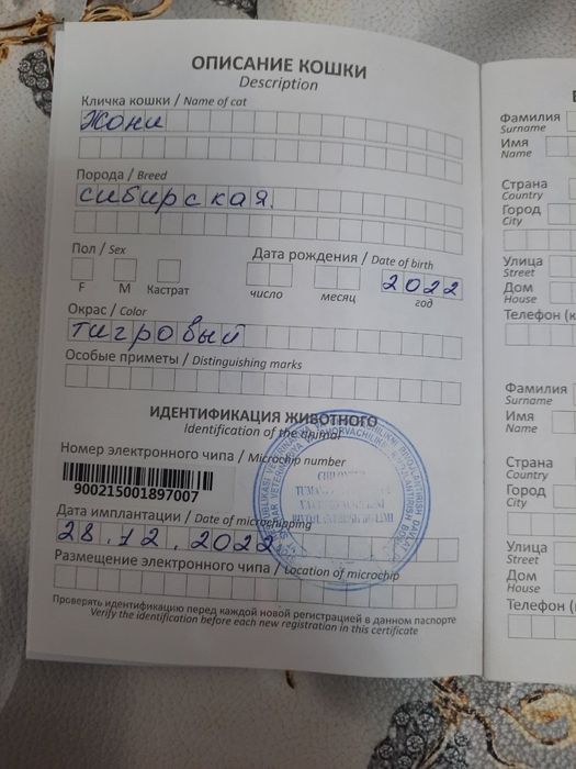 Mushuk Sibirisrkaya Mujik dakumentlari pasprorti vaksiina hammasi joyi