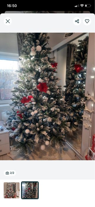 Brad nins de craciun