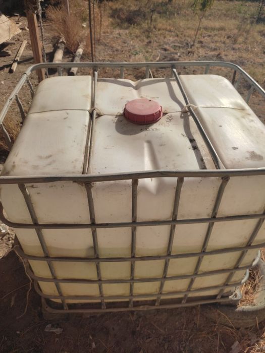 Антимароз, antimaroz