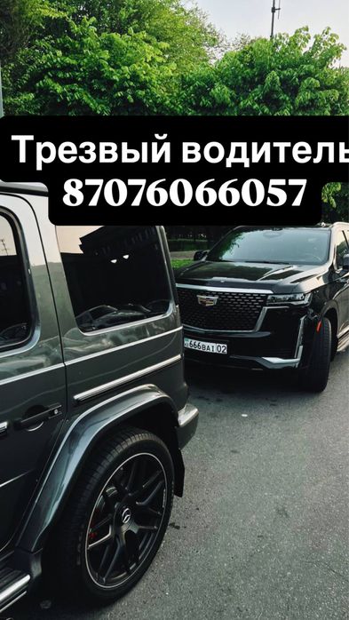 Трезвый водитель