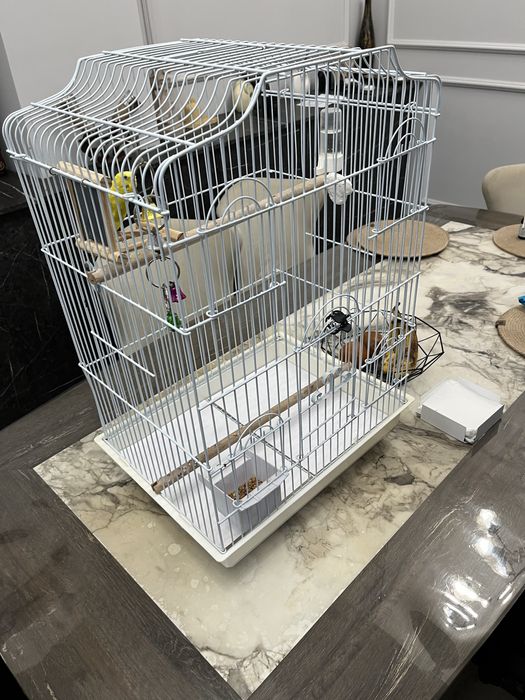 Клетка с попугаем !большая