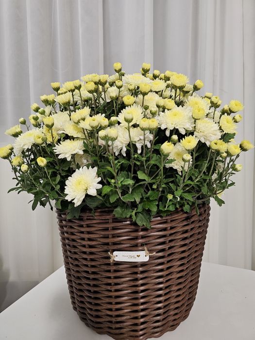 Ghiveci împletit din ratan sintetic,Handmade, volum 12 l