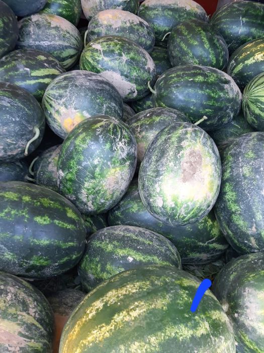 Vand pepeni in jirlau