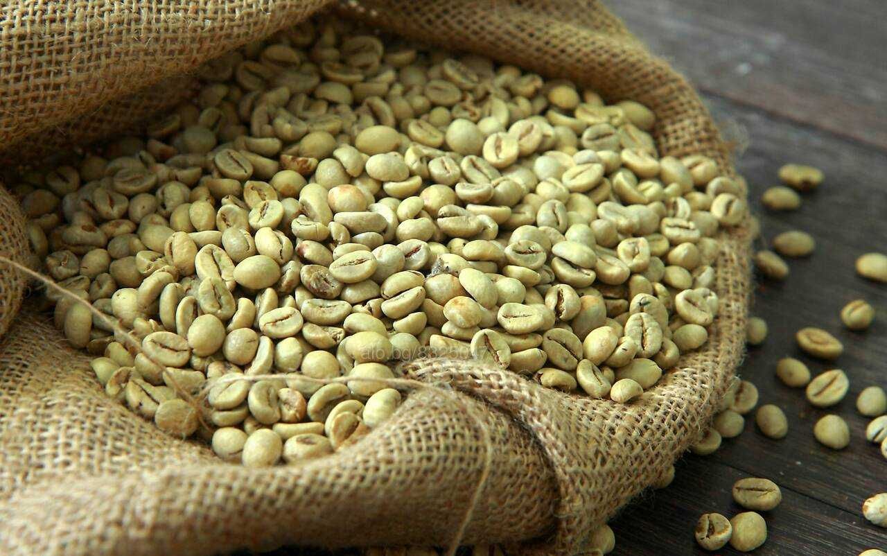 Продавам зелено и прясно изпечено кафе арабика и робуста дребно и едро