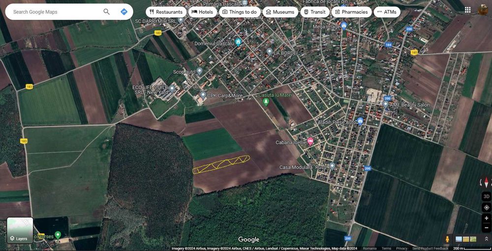 Teren Intravilan Dascalu Ilfov 13500 m2