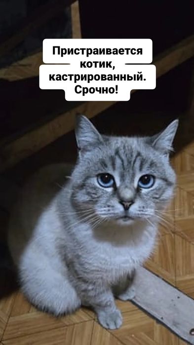 Срочно! В ответственные руки !