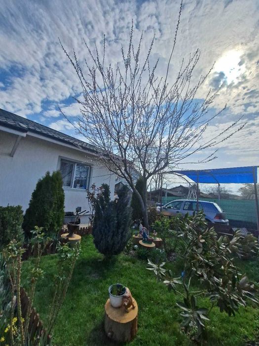 Se vinde casa parter Sabareni,jud GR 16 KM de Bucuresti