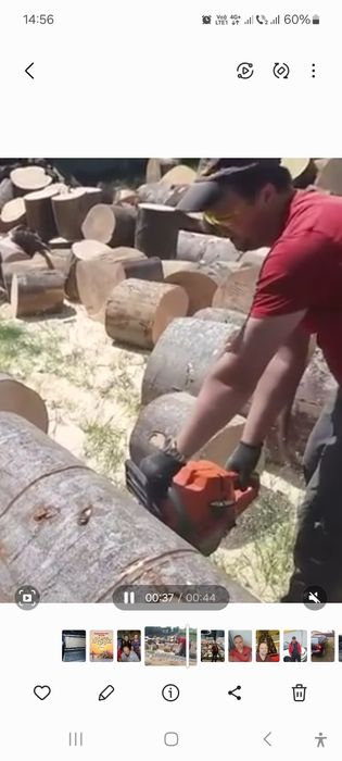 Tai lemne cu drujba profesionala