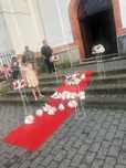 Porumbei albi ,covor rosu ,ornamente pentru evenimente