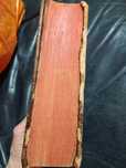 Biblie , Latino- Franceză , 867 pagini - Anul  1779 .