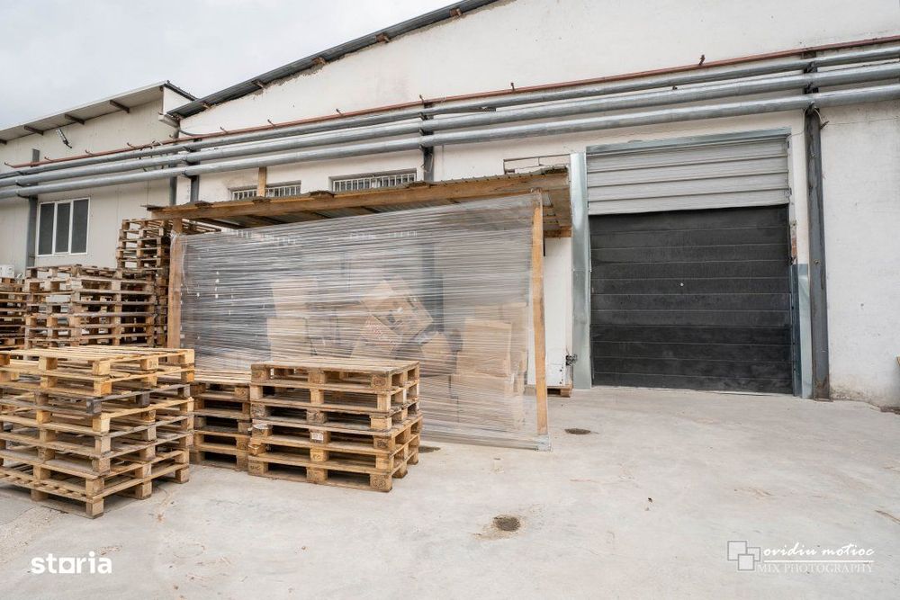 Hala depozitare sau productie Calea Baciului