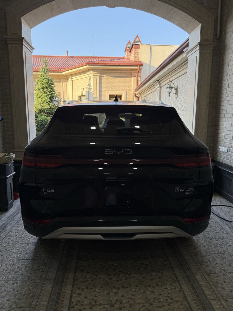 Byd champion Smart