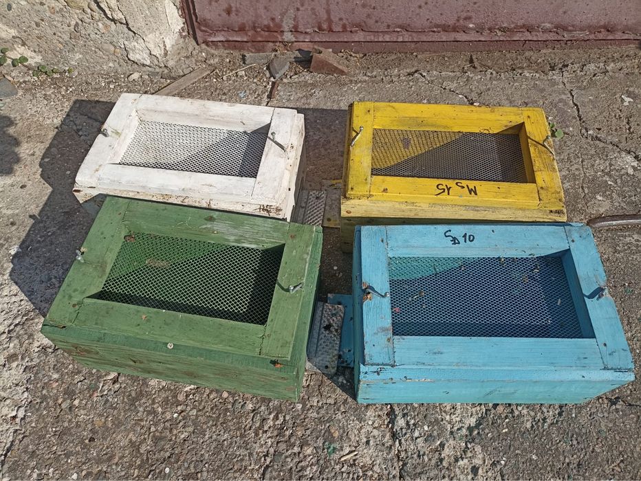 Buzunare de aerisire stupi