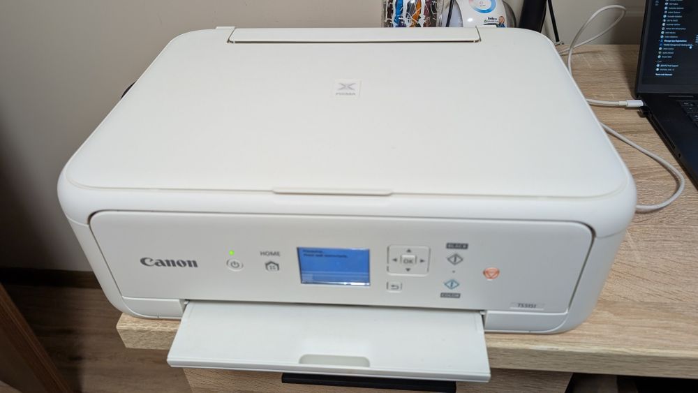 Принтер Canon TS5151