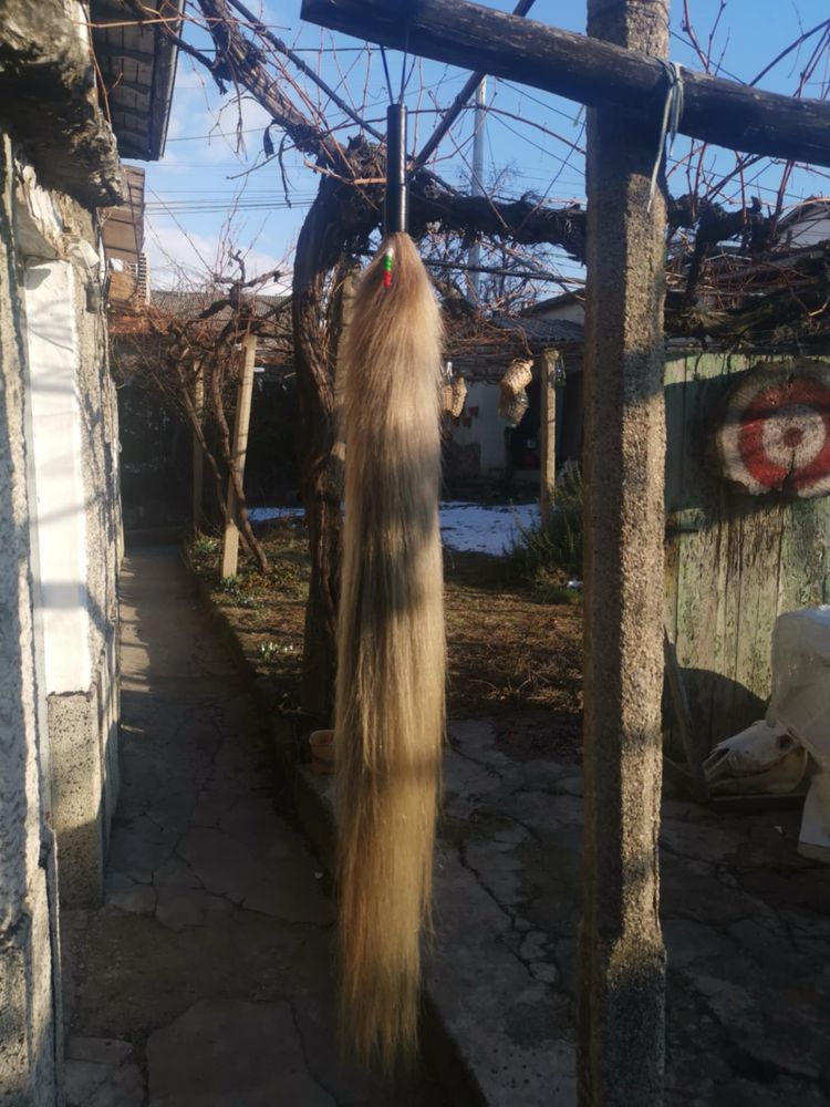 Кукерски маски и рога