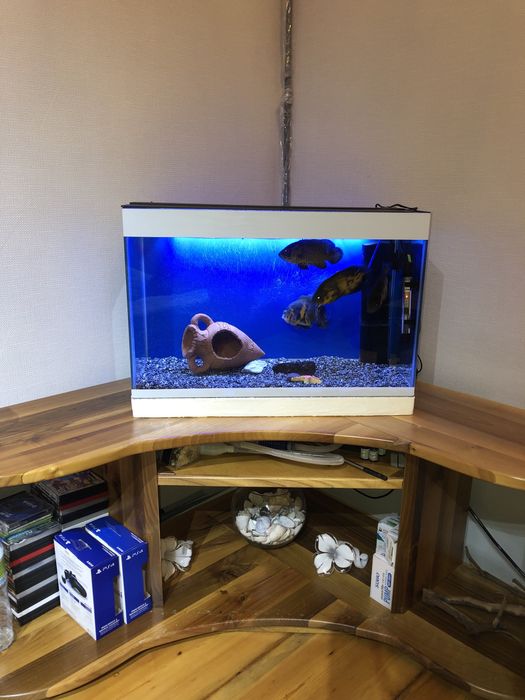 Продам комплект аквариум