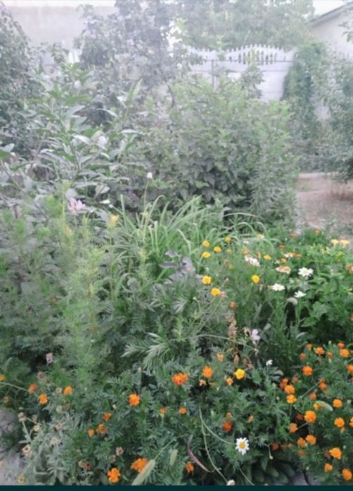 Продается дом,или обмен на 3 комн кв