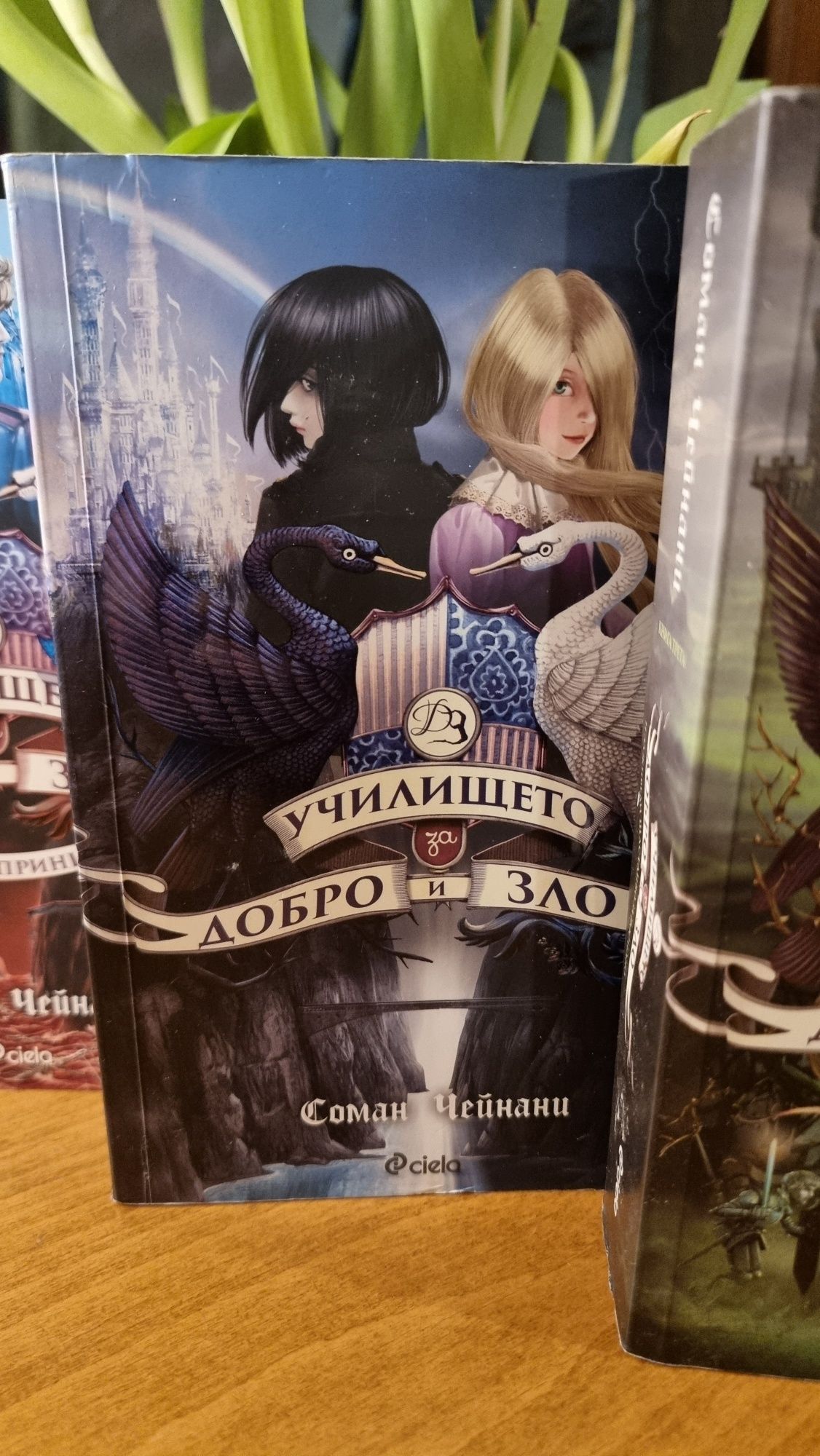 УчилищетоТрите книги - Учшлищено за добро и зло на Сомалия Чейнани