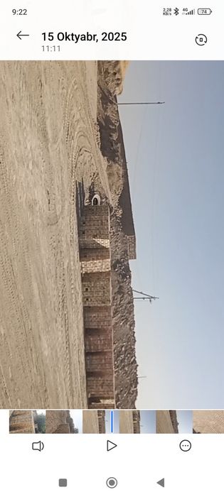 Pishgan gʻishtlar bor