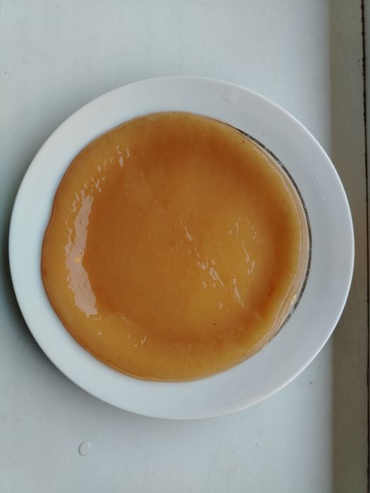 Продаётся Чайный гриб