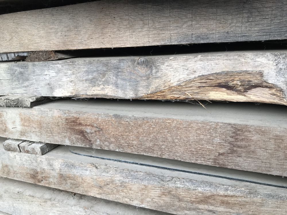 Stejar uscat natural