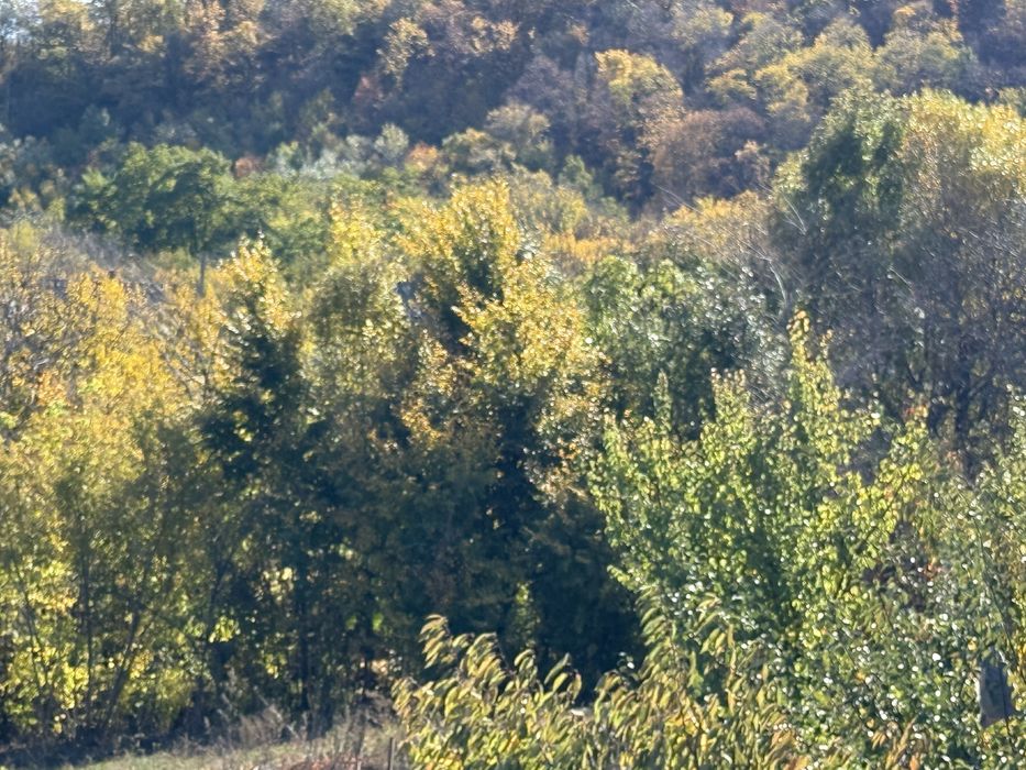 OCAZIE!Vand teren intravilan Strunga, 2118mp