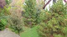 Casa P+1, 240 mp, Laguna Albastra, Corbeanca, teren 500 mp