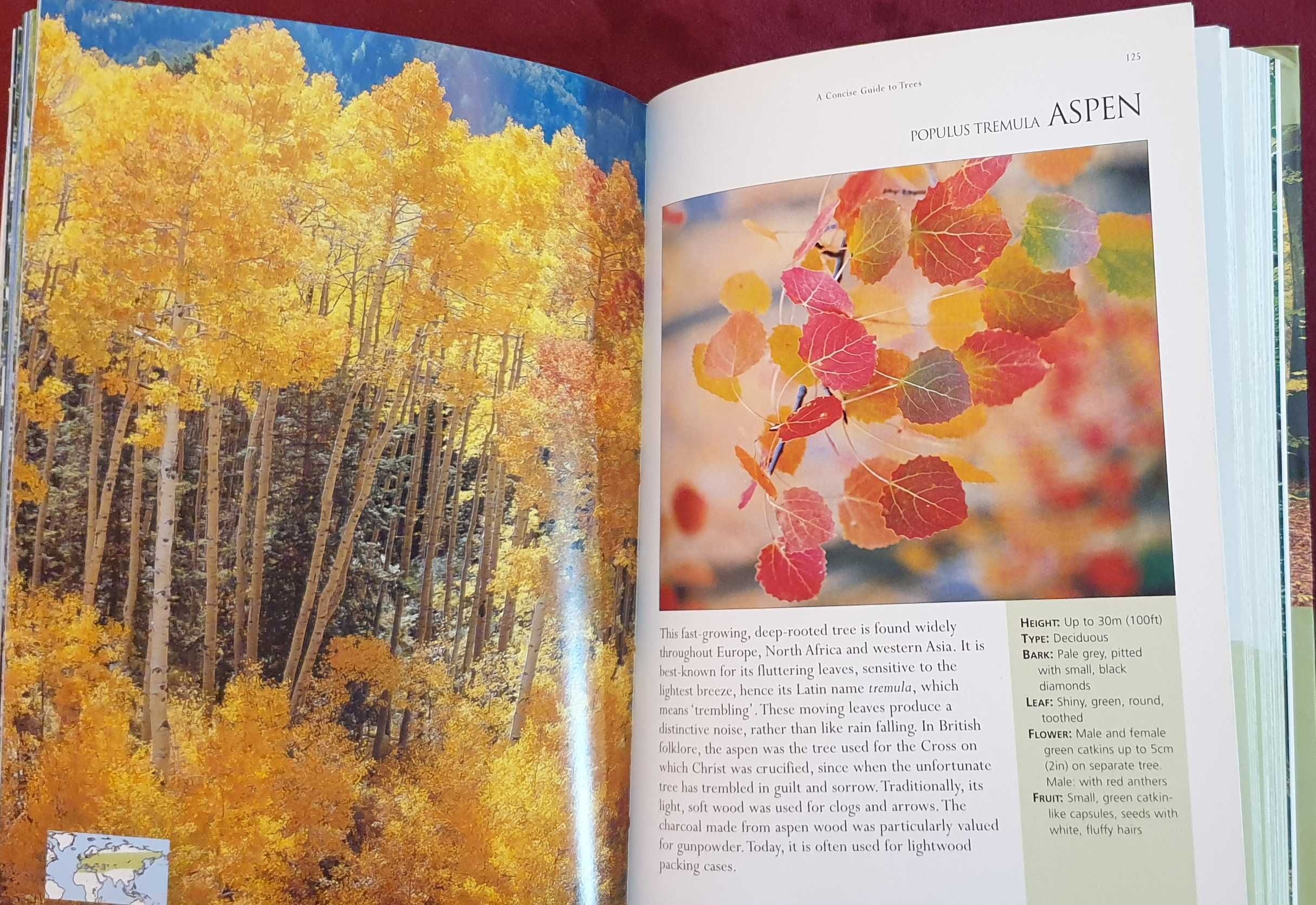 Справочник на дърветата по света / A Concise Guide to Trees