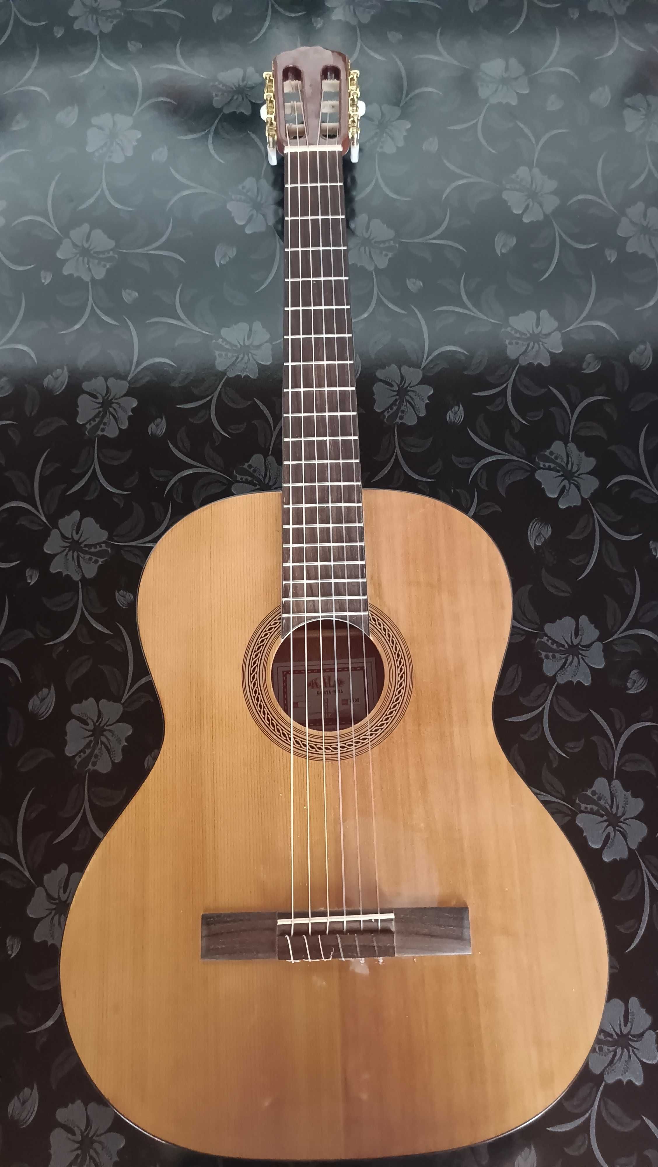 Turkiyadan kelgan yangi gitara