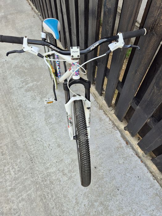 Dirt  mongoose ritual dirt-hi