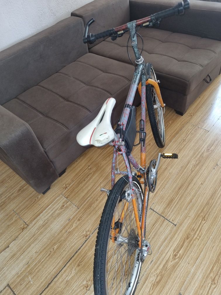 Velo professional