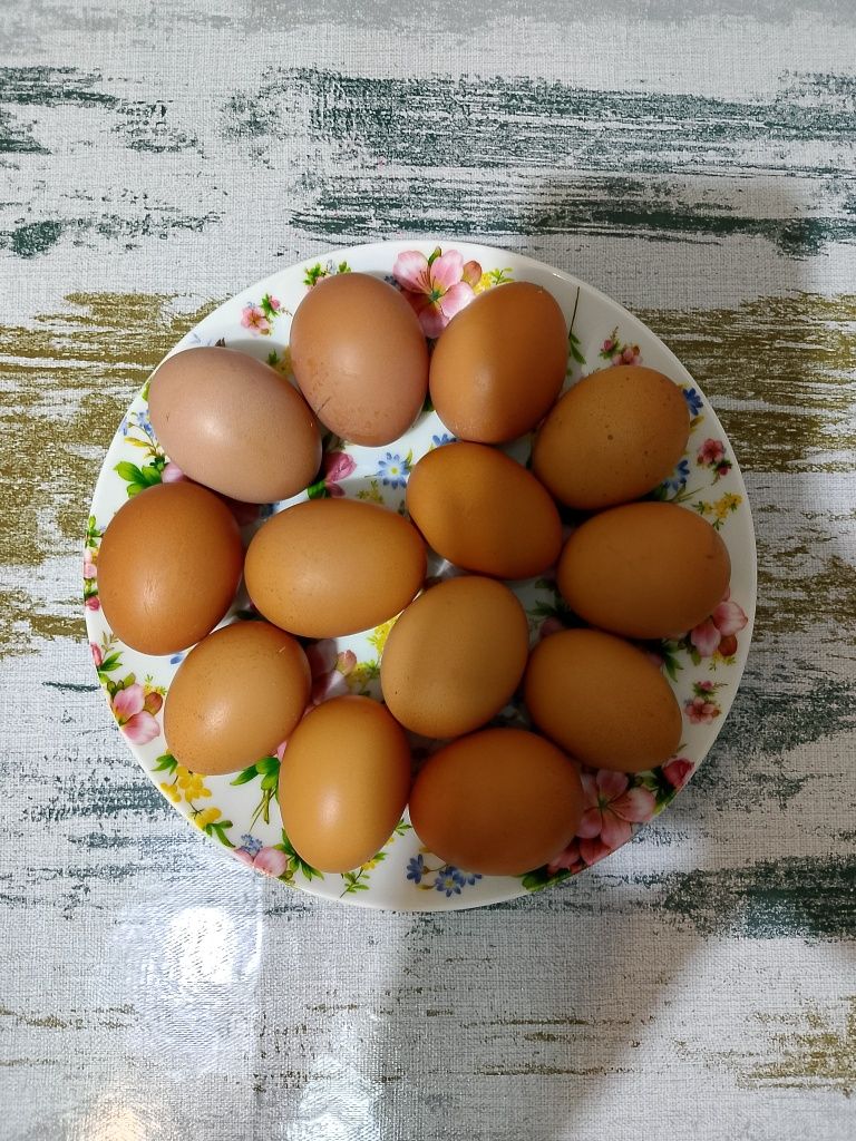 Домашние куриные яйца