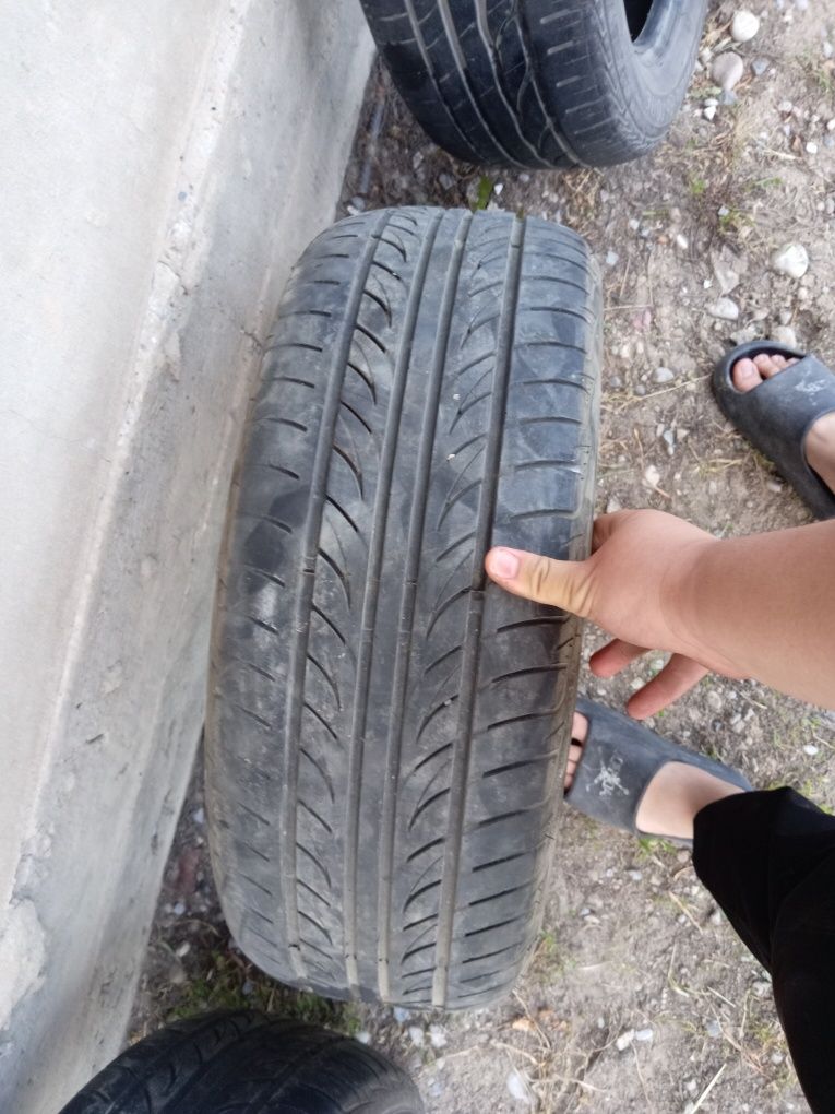 Шины Turanza 205/55 R16