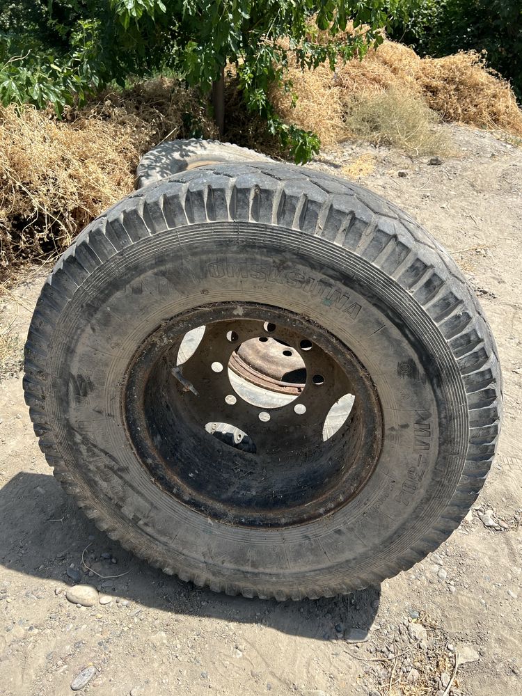 Balon diska poligonniki sotiladi