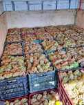 Vând struguri de vin diferite soiuri cu transport la domiciliu