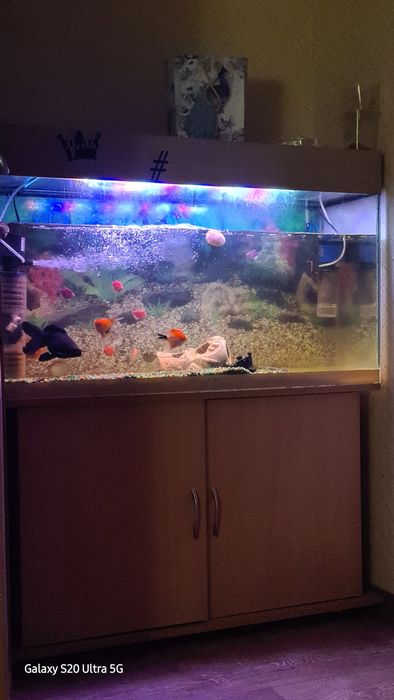 Аквариум с рыбками