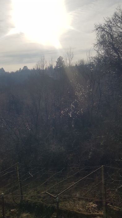 Продава се Къща в Кюстендил, Румена войвода - 60 кв.м за 842 €/кв.м - Снимка #6