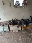 Piese u 650 de vanzare