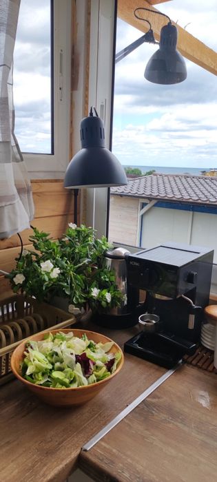 НОВИ ЛЕТНИ ЕМОЦИИ 2025г - Бунгало  Море и Плаж на къмпинг Джой - Арапя